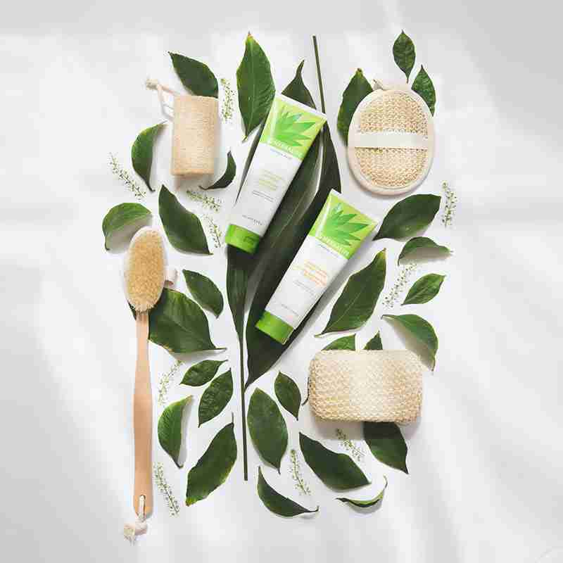 מרכך מחזק לשיער Herbal Aloe של הרבלייף עם עלי אלוורה