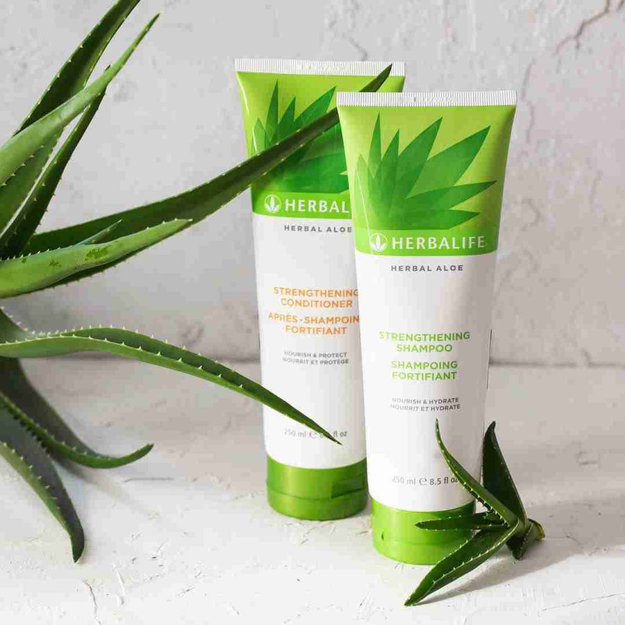 שמפו לחיזוק השיער Herbal Aloe של הרבלייף עם עלי אלוורה