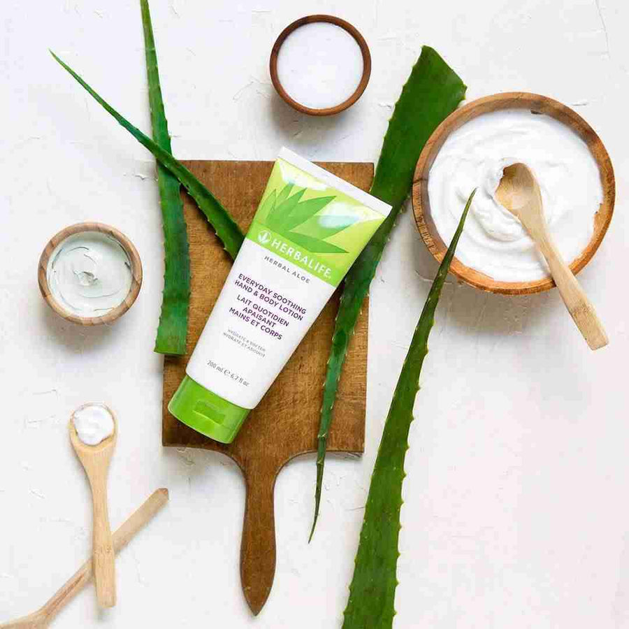תחליב ידיים וגוף Herbal Aloe של הרבלייף עם אלוורה וחמאת שיאה
